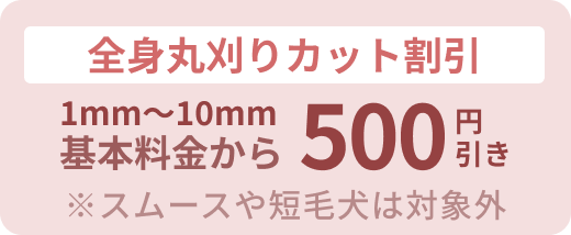 カット割引