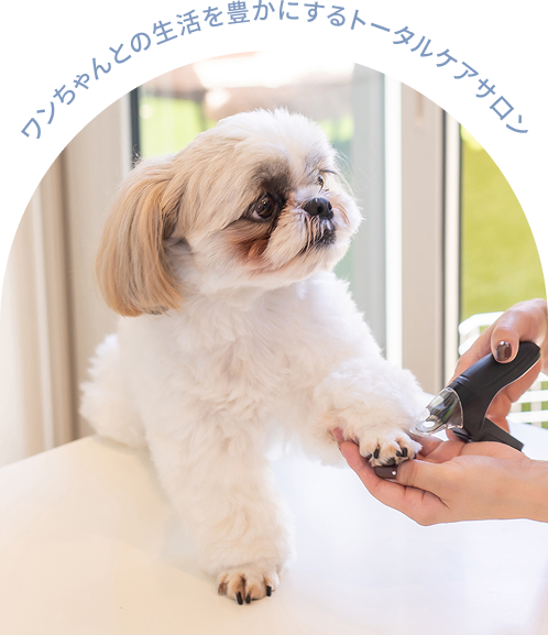 ワンちゃんとの生活を豊かにするトータルケアサロン